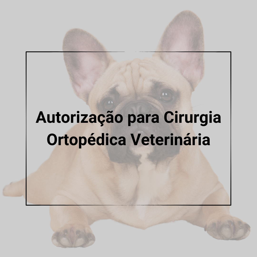 Cirurgia ortopédica