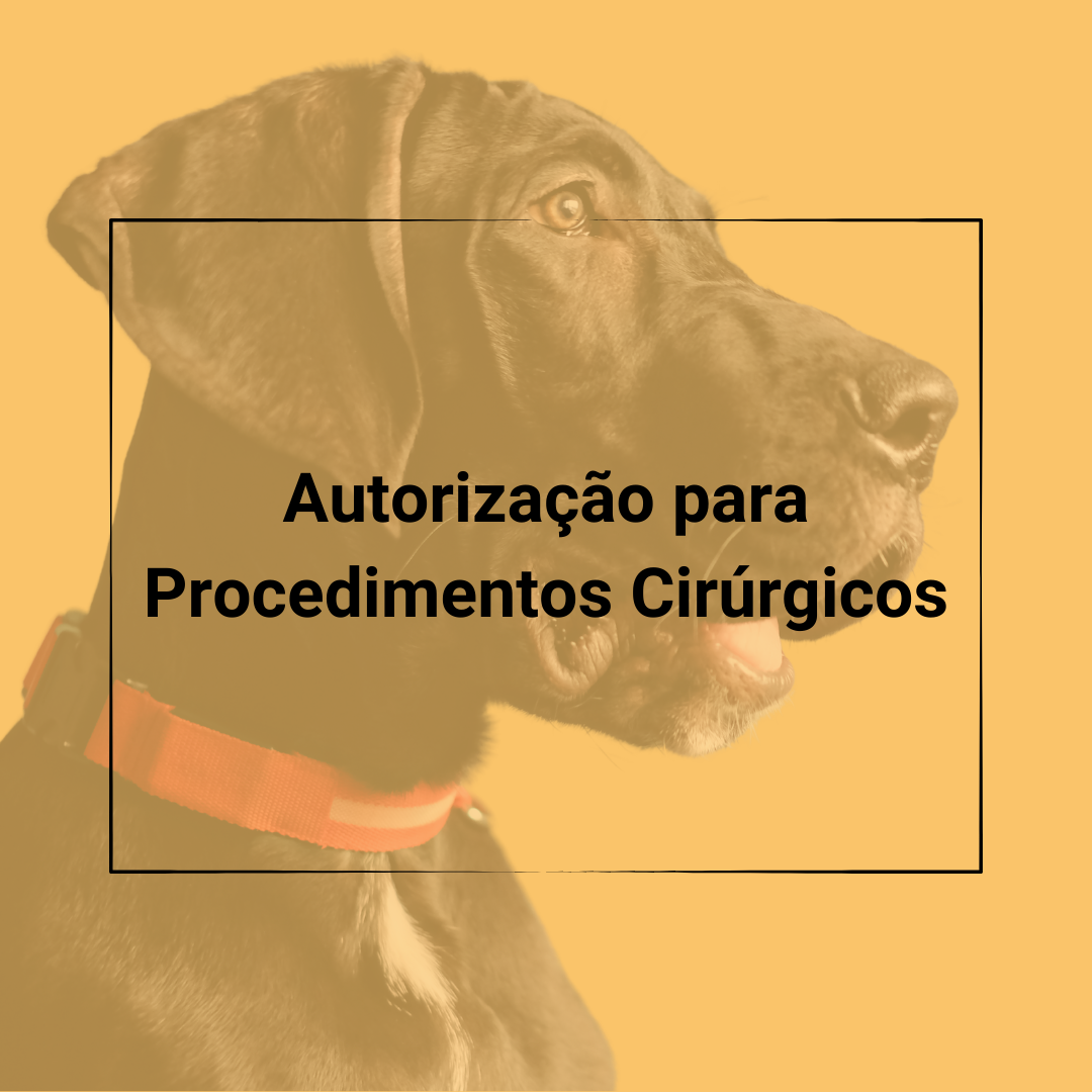 Procedimento cirurgicos