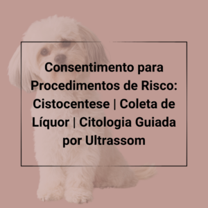 Consentimento para Procedimentos de Risco - Cistocentese | Coleta de Líquor | Citologia Guiada por Ultrassom