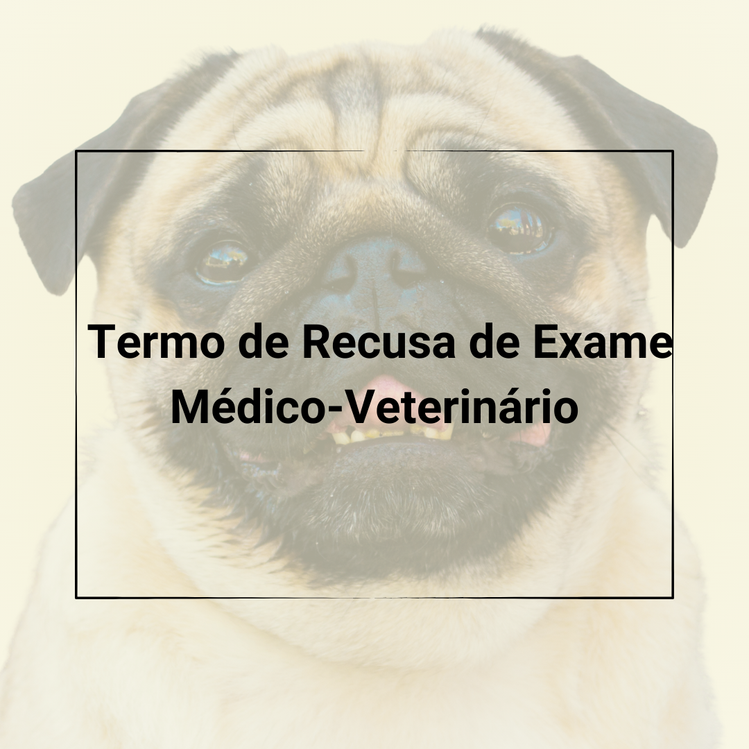 Recusa Exame