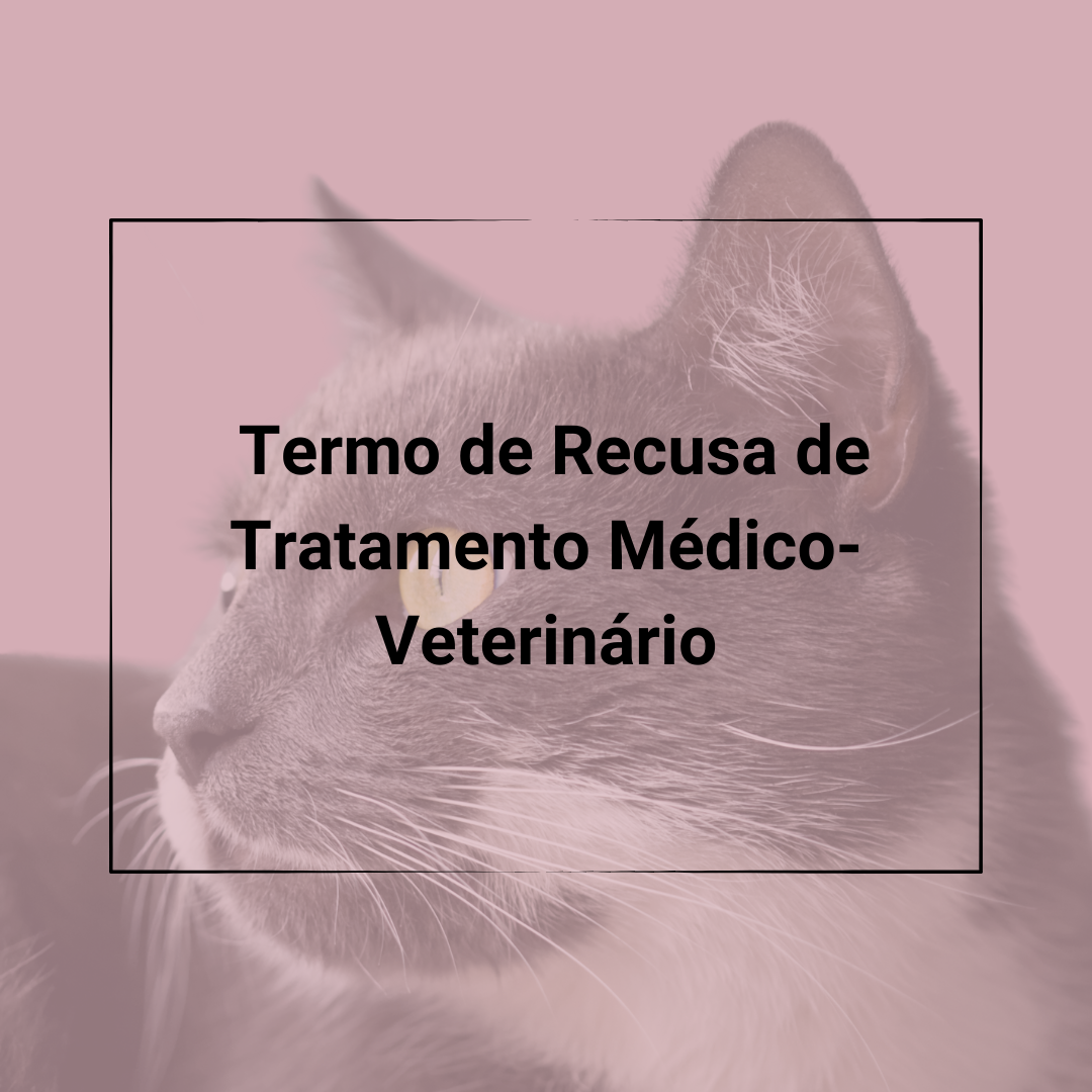 Recusa Tratamento