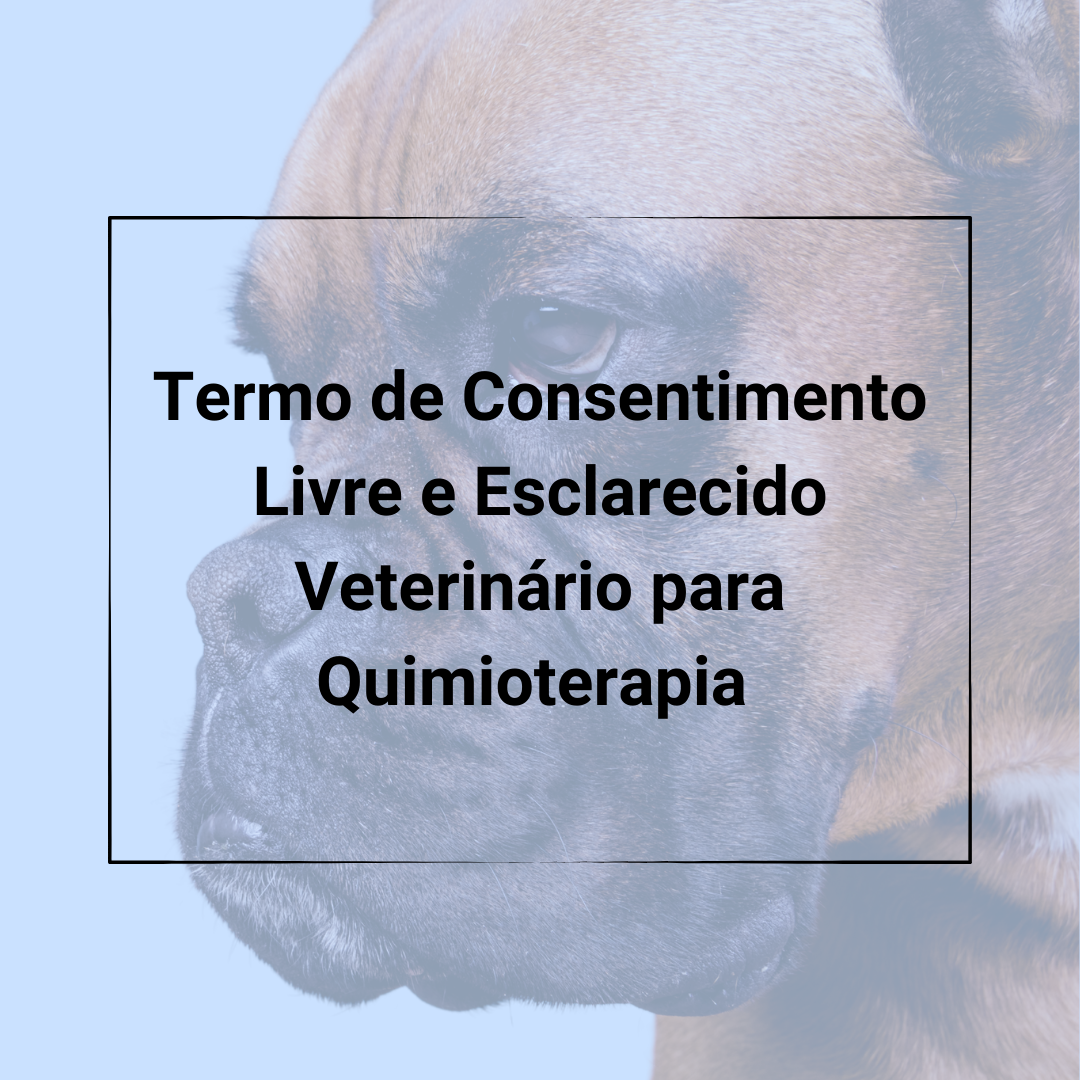 Termo Quimioterapia