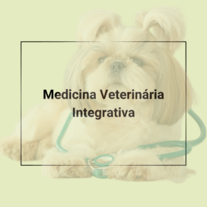 Contratos Veterinários - Termo e Contrato para Medicina Veterinária Integrativa