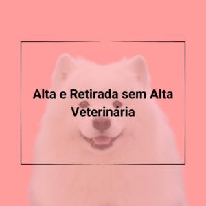 Contratos Veterinários - Termos de Alta e Retirada sem Alta