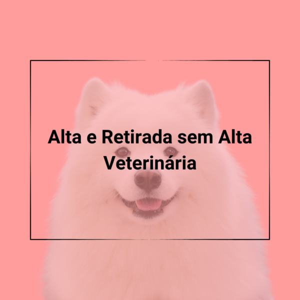 Contratos Veterinários - Termos de Alta e Retirada sem Alta