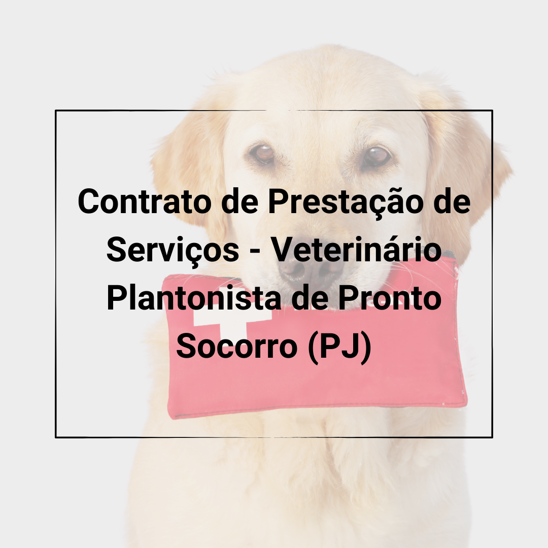 plantonista PJ