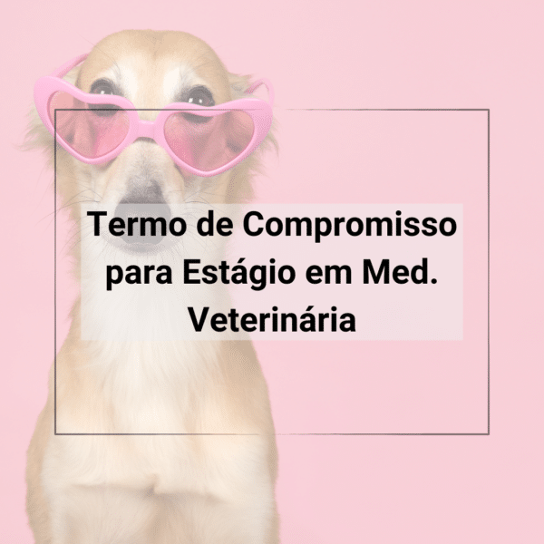 Contratos Veterinários - Termo de Compromisso para Estágio em Medicina Veterinária